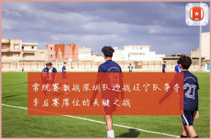 常规赛激战深圳队迎战辽宁队争夺季后赛席位的关键之战